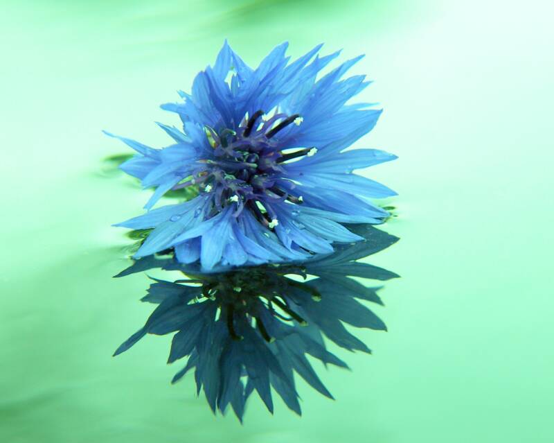 182-1