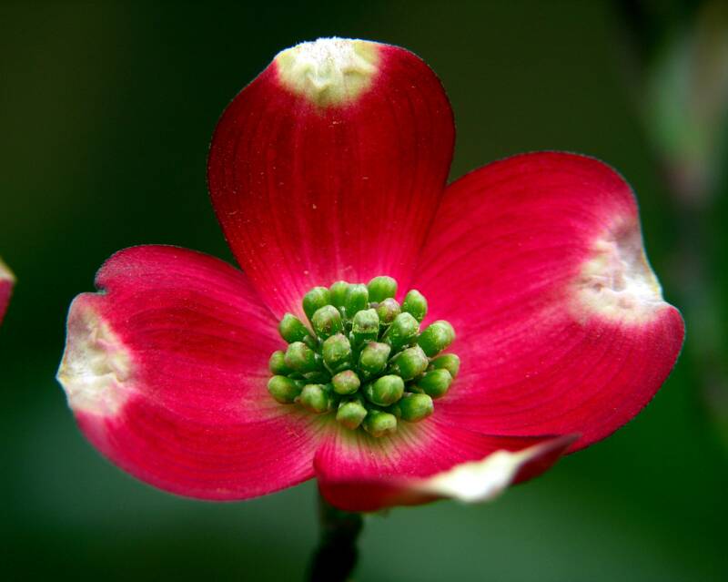 375-1